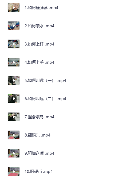 训鸟教程零基础学习 训鸟虎皮牡丹玄凤鹦鹉训练全套解说视频课程（夸克网盘）