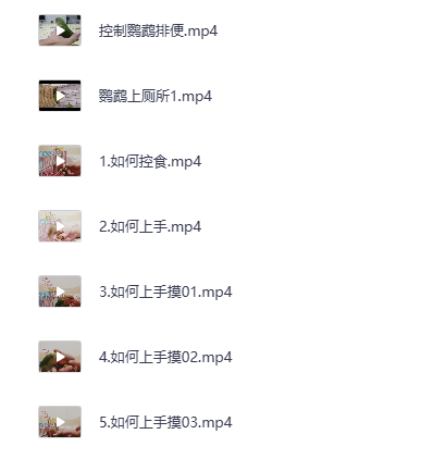 训鸟教程零基础学习 训鸟虎皮牡丹玄凤鹦鹉训练全套解说视频课程（夸克网盘）