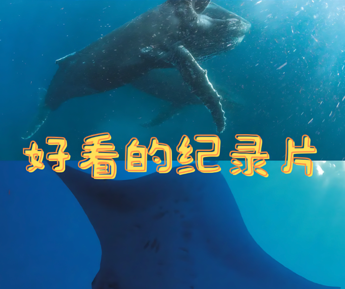 知乎精选珍藏纪录片大全｜口碑高分纪实影视全套【夸克网盘分享】
